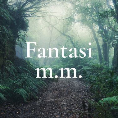 Fantasi m.m.